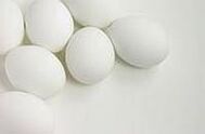 eggs